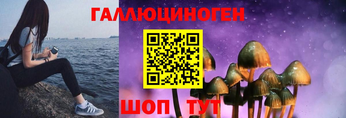 Галлюциногенные грибы Cubensis Карачаевск